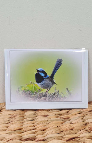 Tasmanian Greeting Card - Fauna