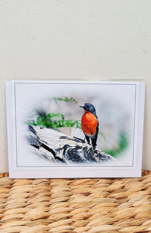 Tasmanian Greeting Card - Fauna