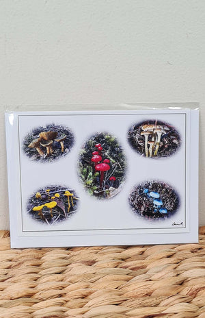 Tasmanian Greeting Card - Fauna