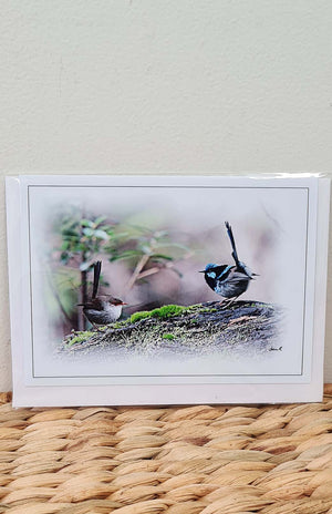 Tasmanian Greeting Card - Fauna