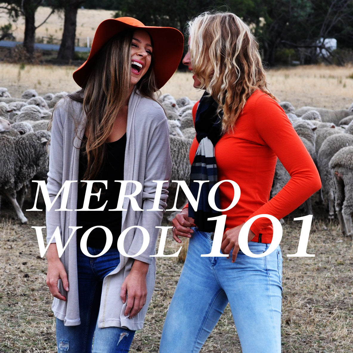 Merino Wool 101