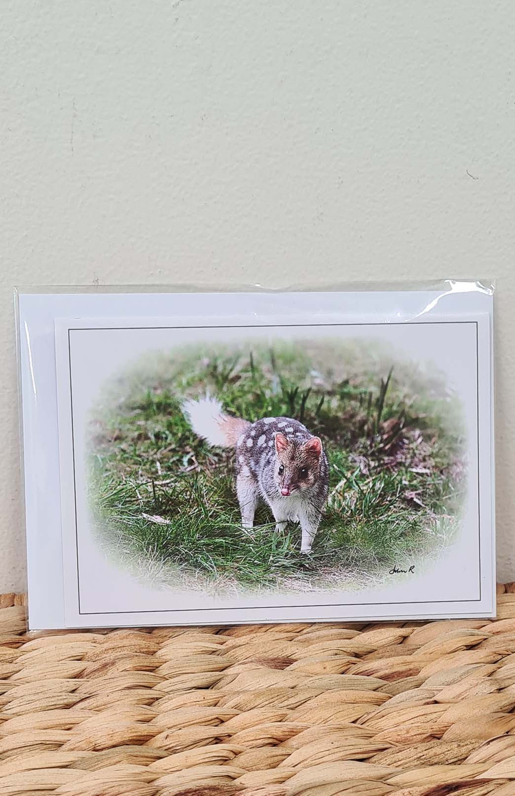 Tasmanian Greeting Card - Fauna Tasmanian Photography Greeting Card