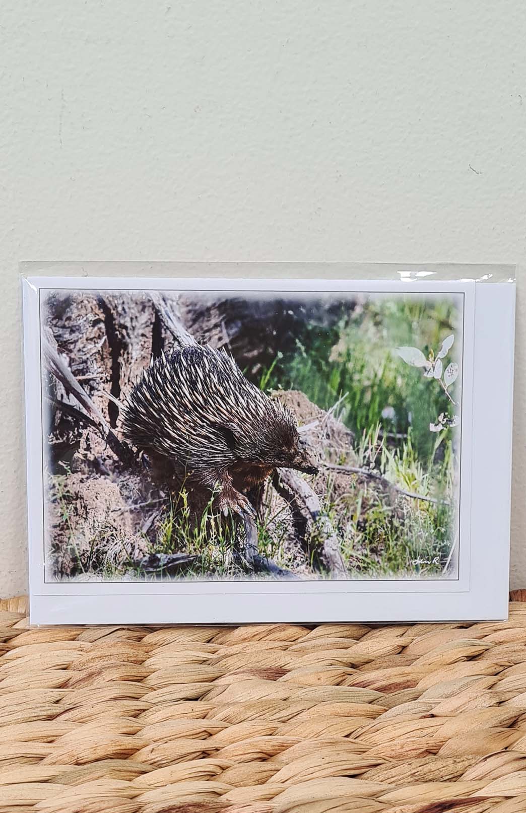 Tasmanian Greeting Card - Fauna Tasmanian Photography Greeting Card