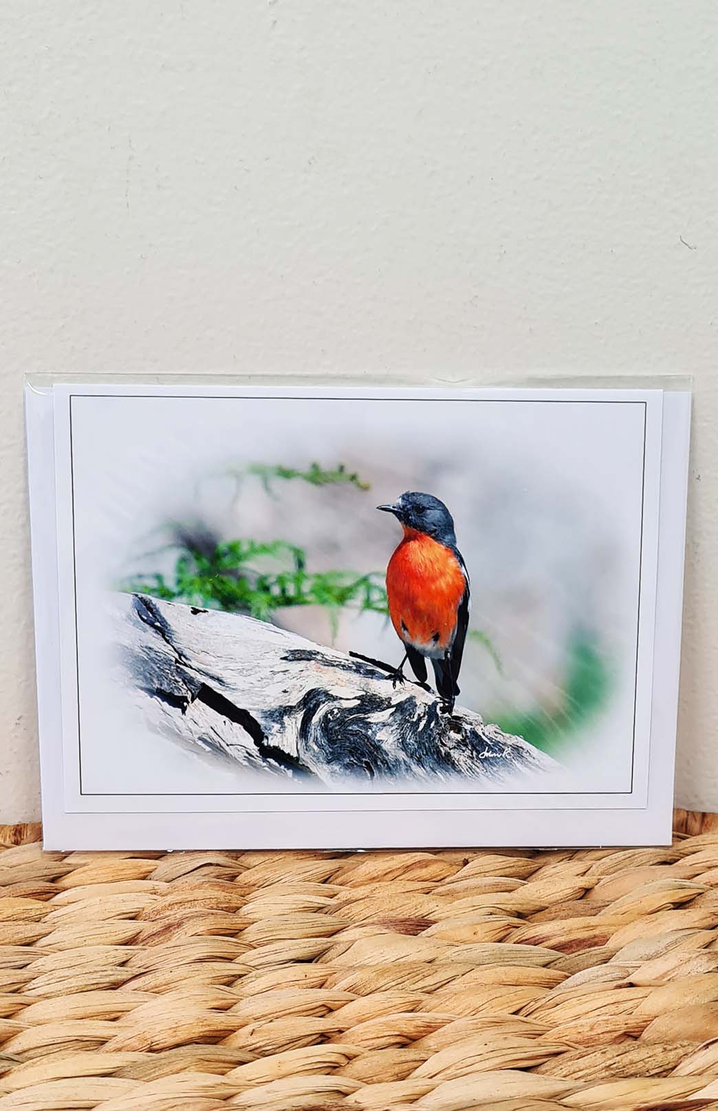 Tasmanian Greeting Card - Fauna Tasmanian Photography Greeting Card