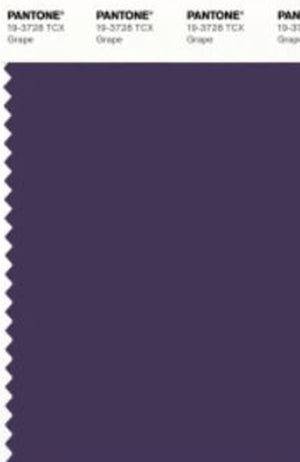 Grape Purple
