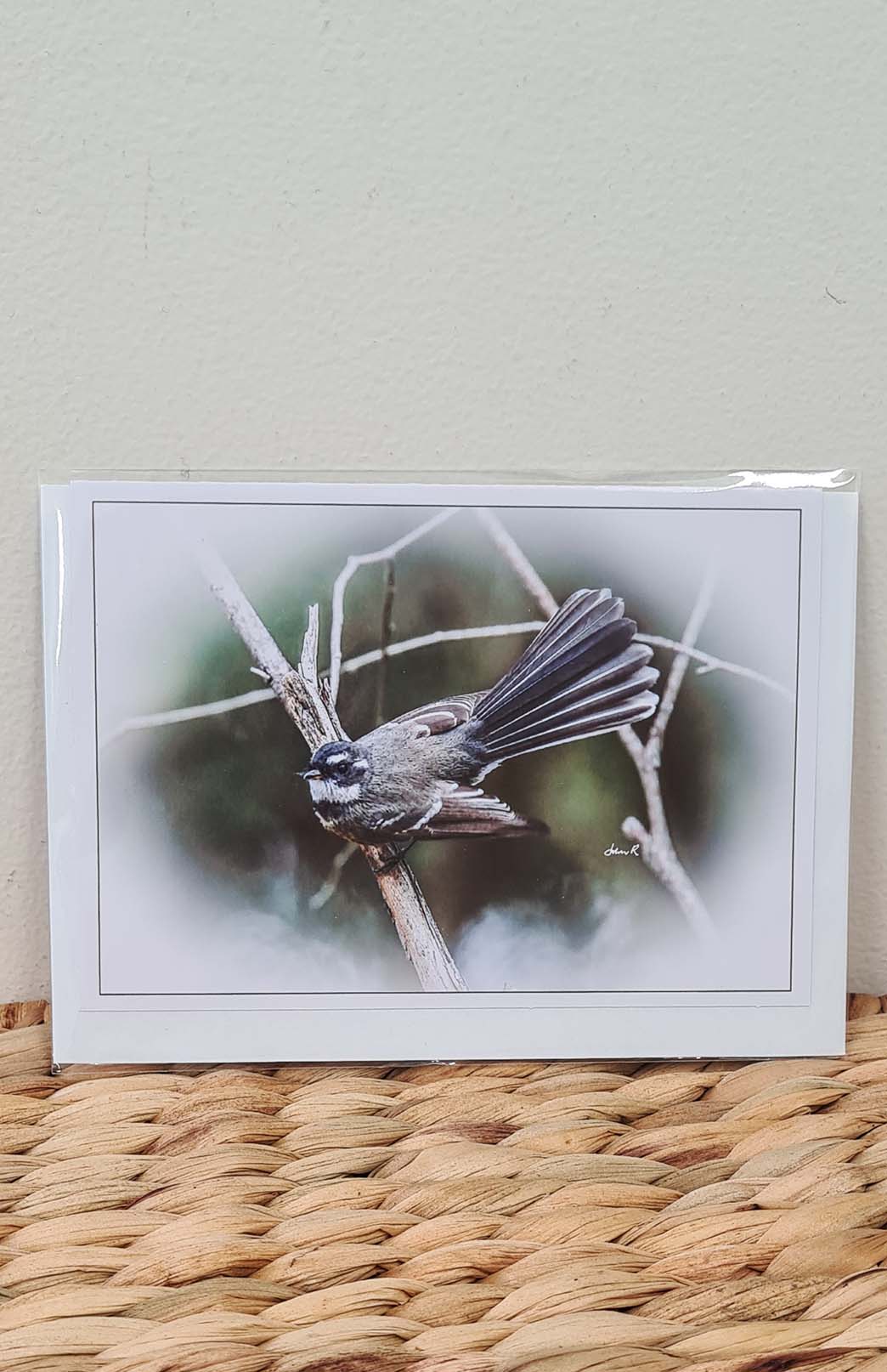 Tasmanian Greeting Card - Fauna Tasmanian Photography Greeting Card