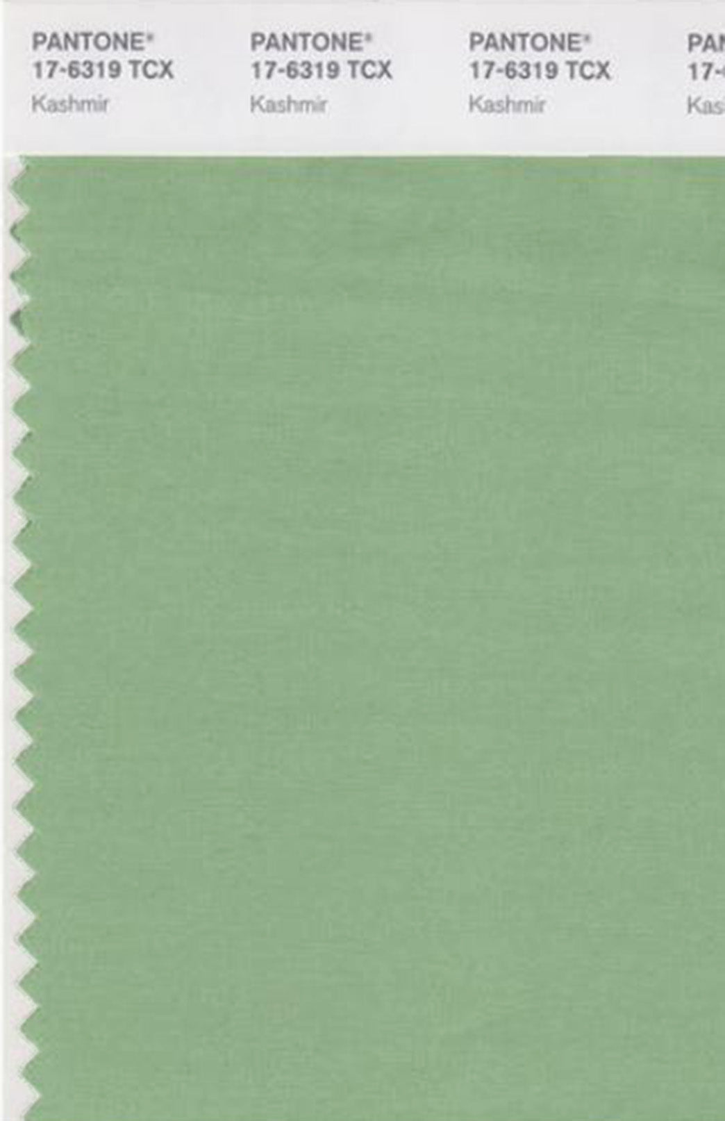Matcha Green Women's Cape Sleeve Merino Wool T-Shirt