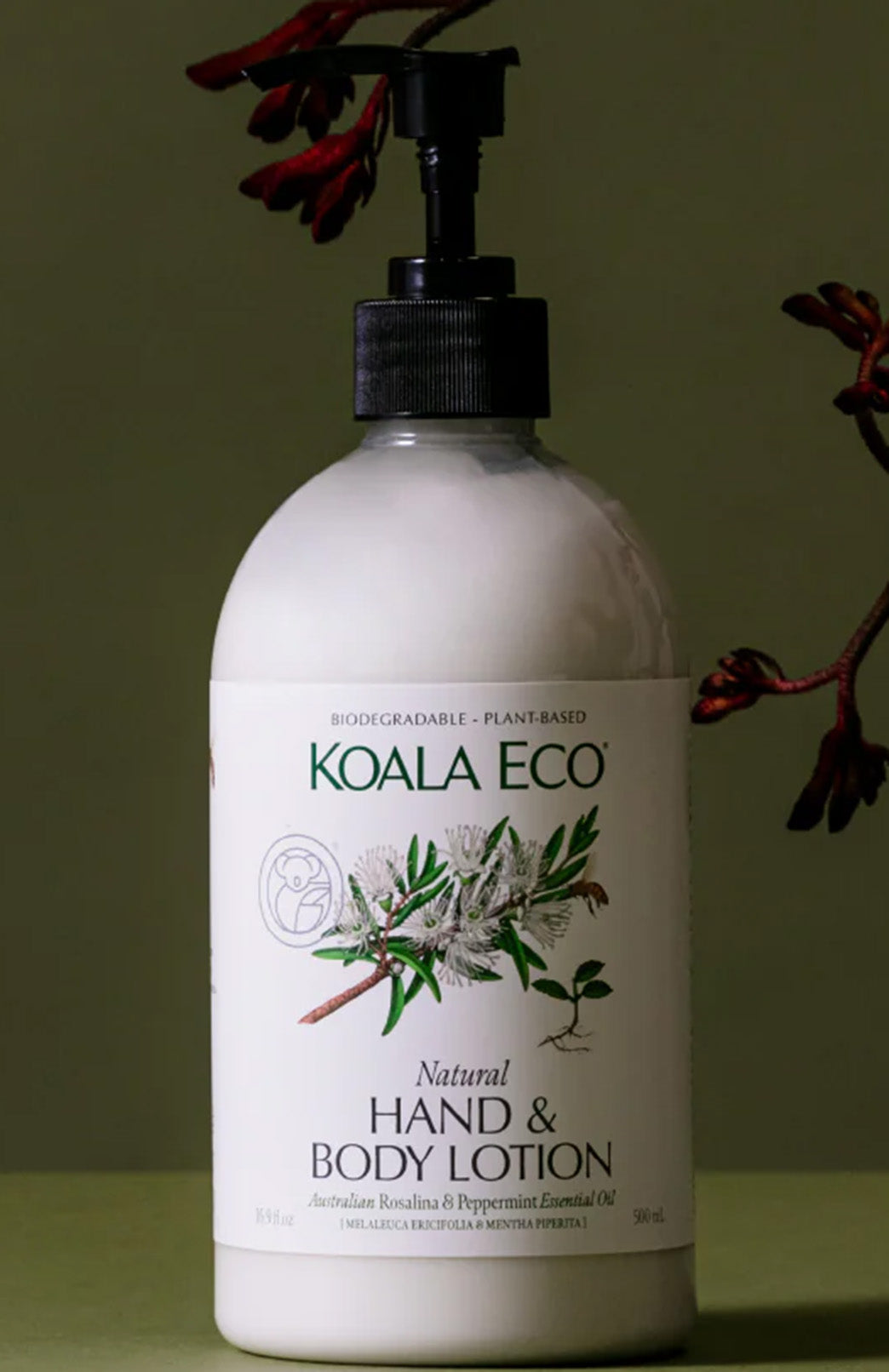 Hand & Body Lotion - Rosalina & Peppermint 500ml Koala Eco plant-based range of cleaning products and body lotions, room sprays.
