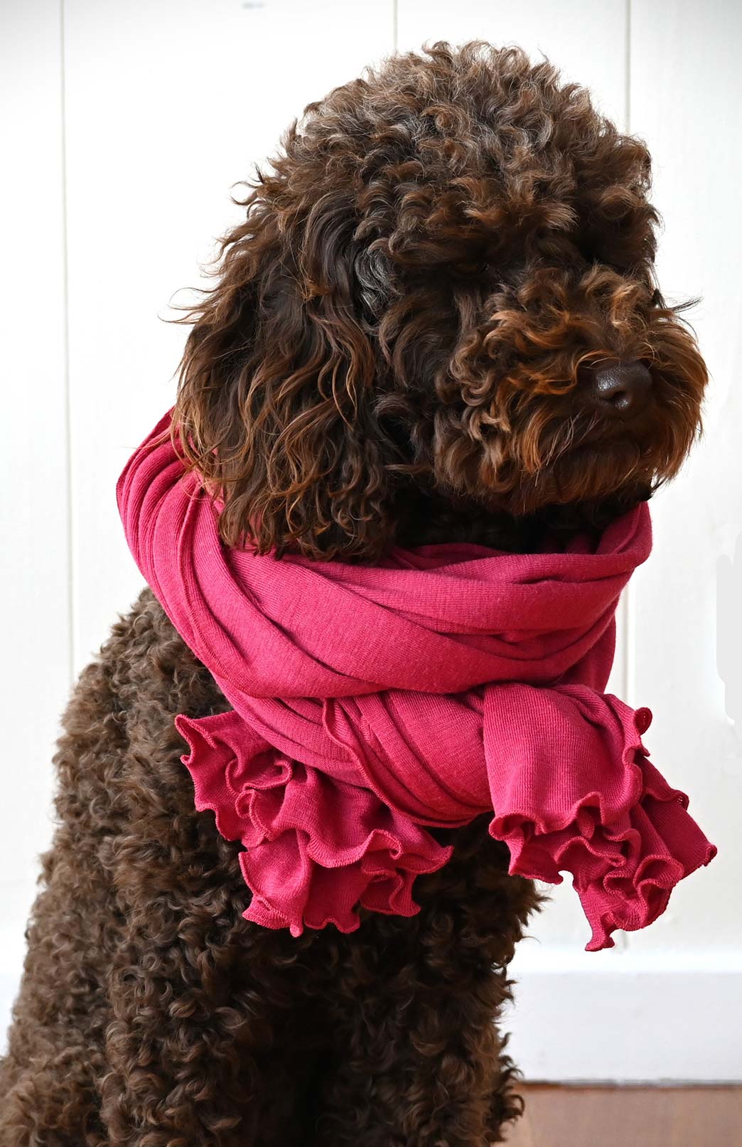 Raspberry Pink Women's Merino Wool Luxury Scarf