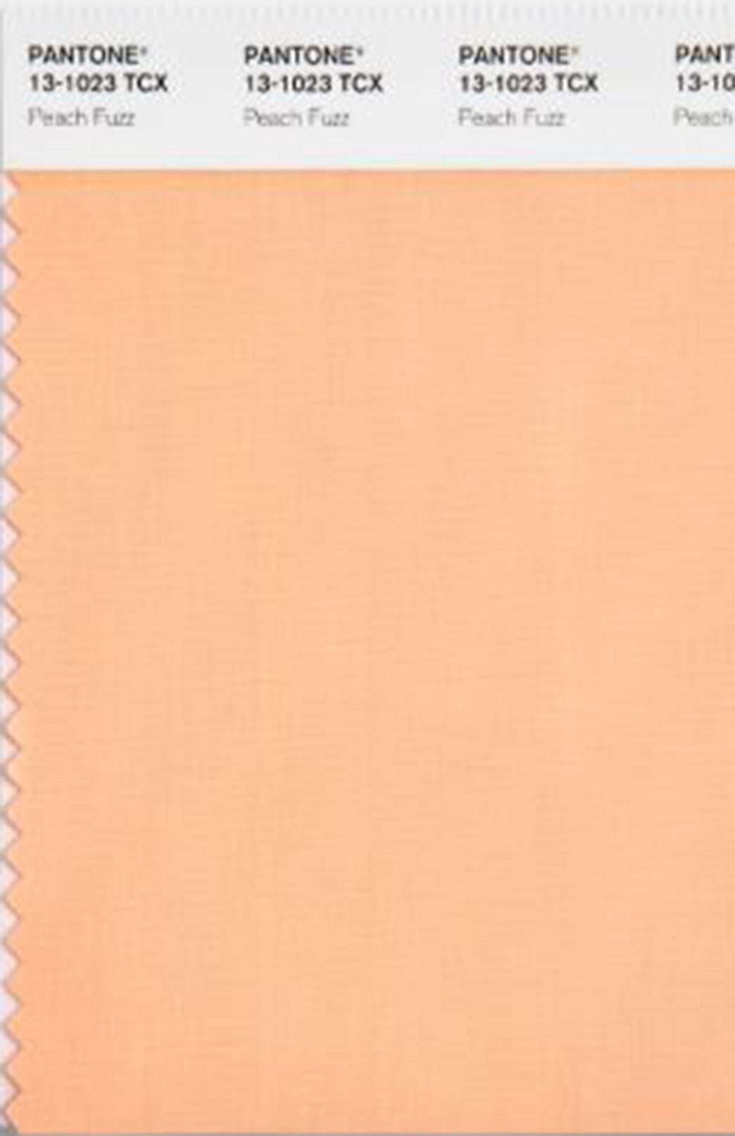 Peach Fuzz Women's Merino Wool Plain Poncho
