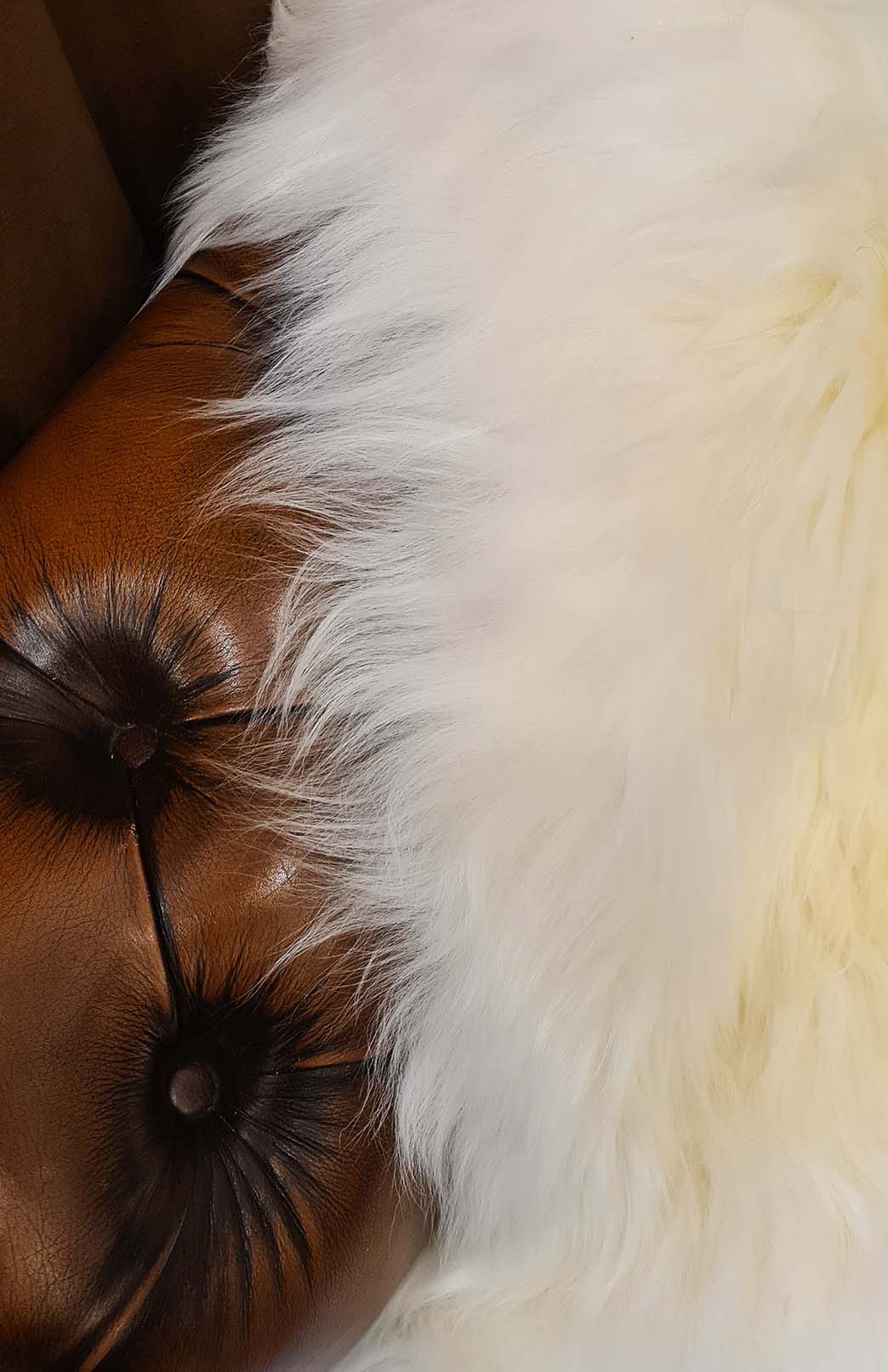Natural Natural Australian / New Zealand Sheepskin Rug