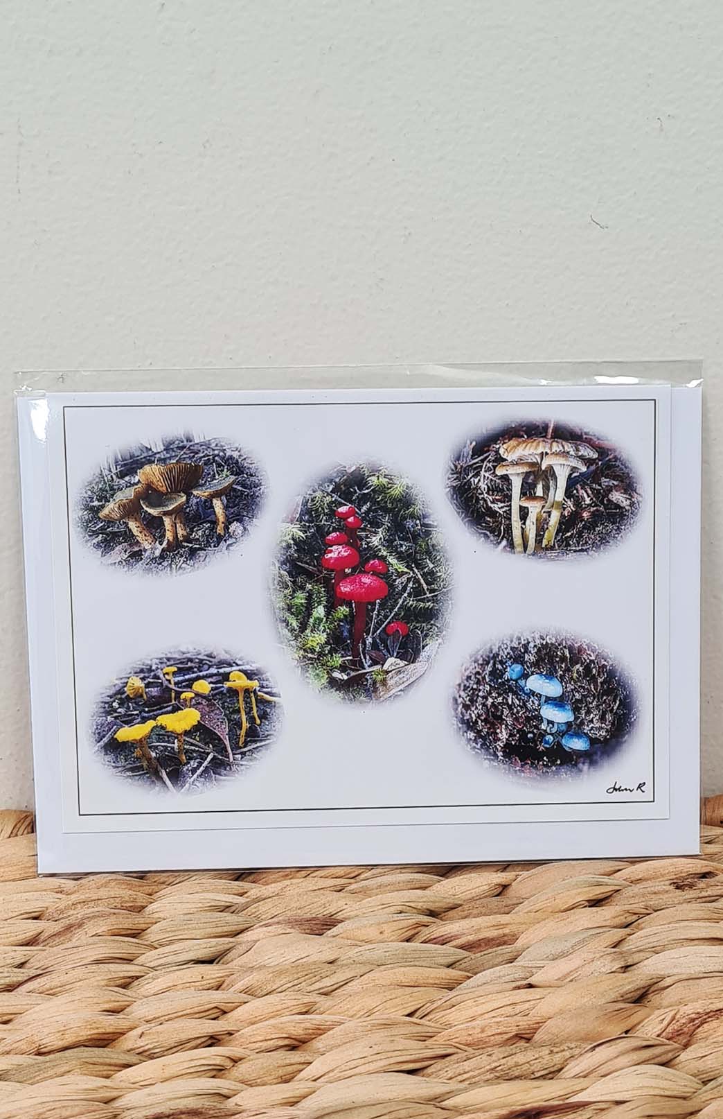 Tasmanian Greeting Card - Flora Tasmanian Photography Greeting Card