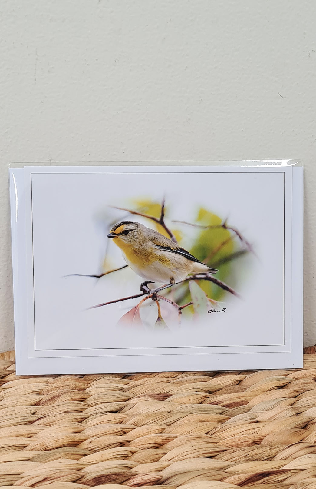 Tasmanian Greeting Card - Fauna Tasmanian Photography Greeting Card