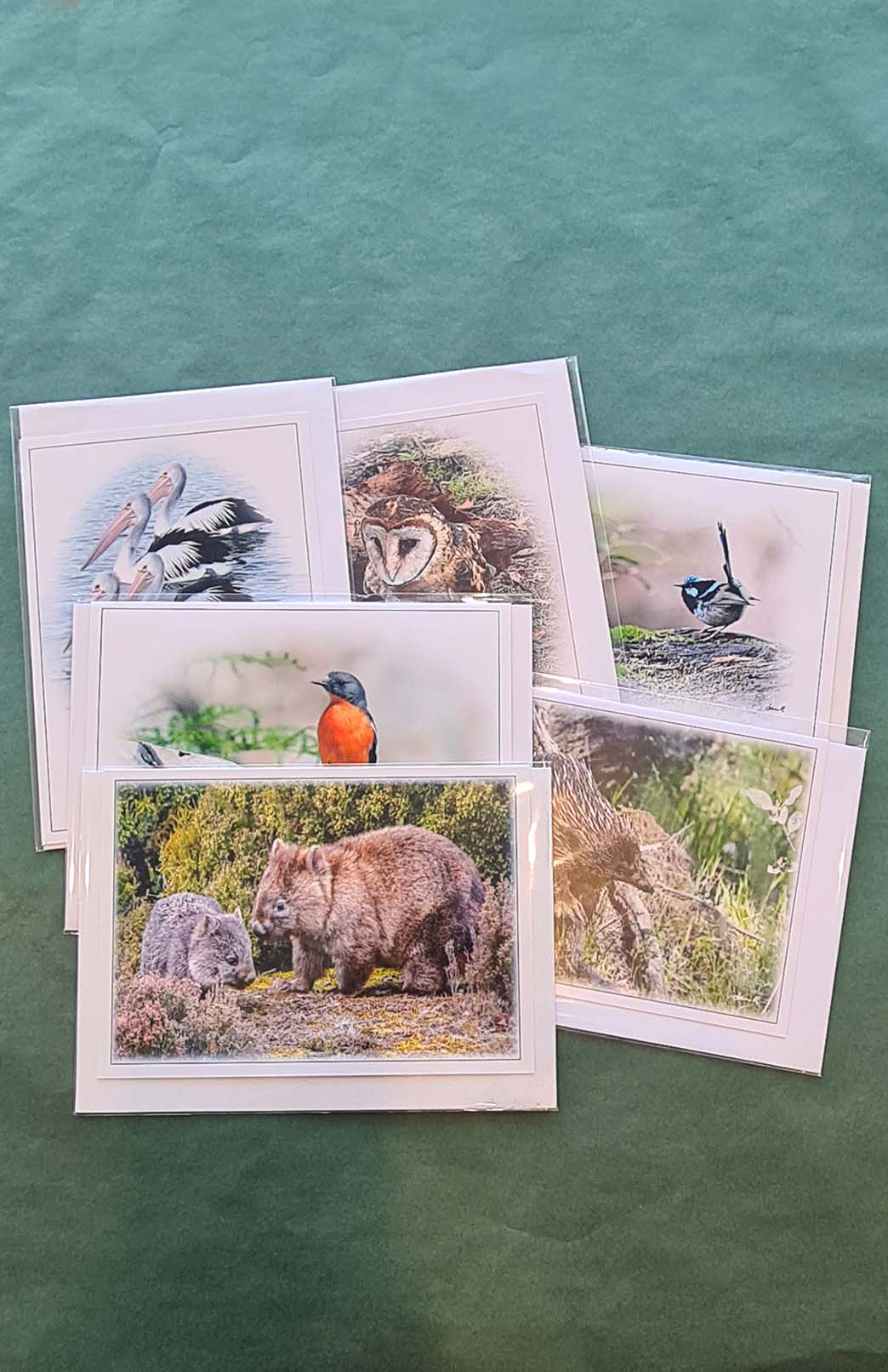 Tasmanian Greeting Card - Fauna Tasmanian Photography Greeting Card