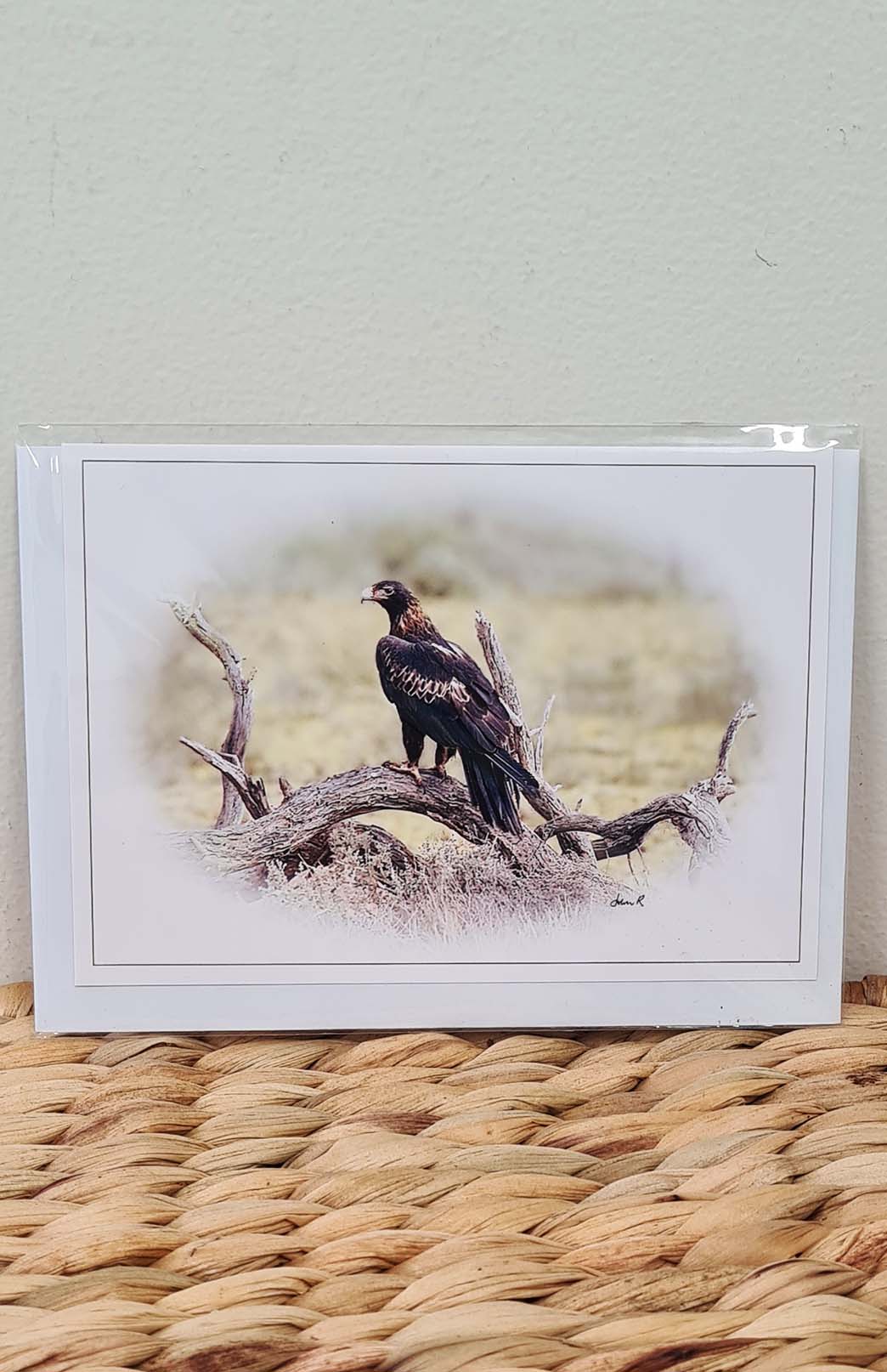 Tasmanian Greeting Card - Fauna Tasmanian Photography Greeting Card