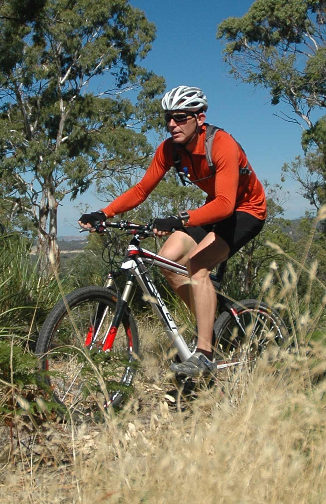 Burnt Orange Men's Merino Wool Zip Neck Top